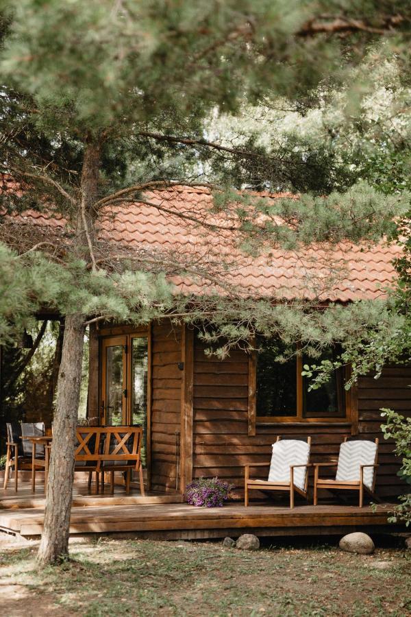 Berzu Namelis - Birch Cabin Kutsyuny 외부 사진