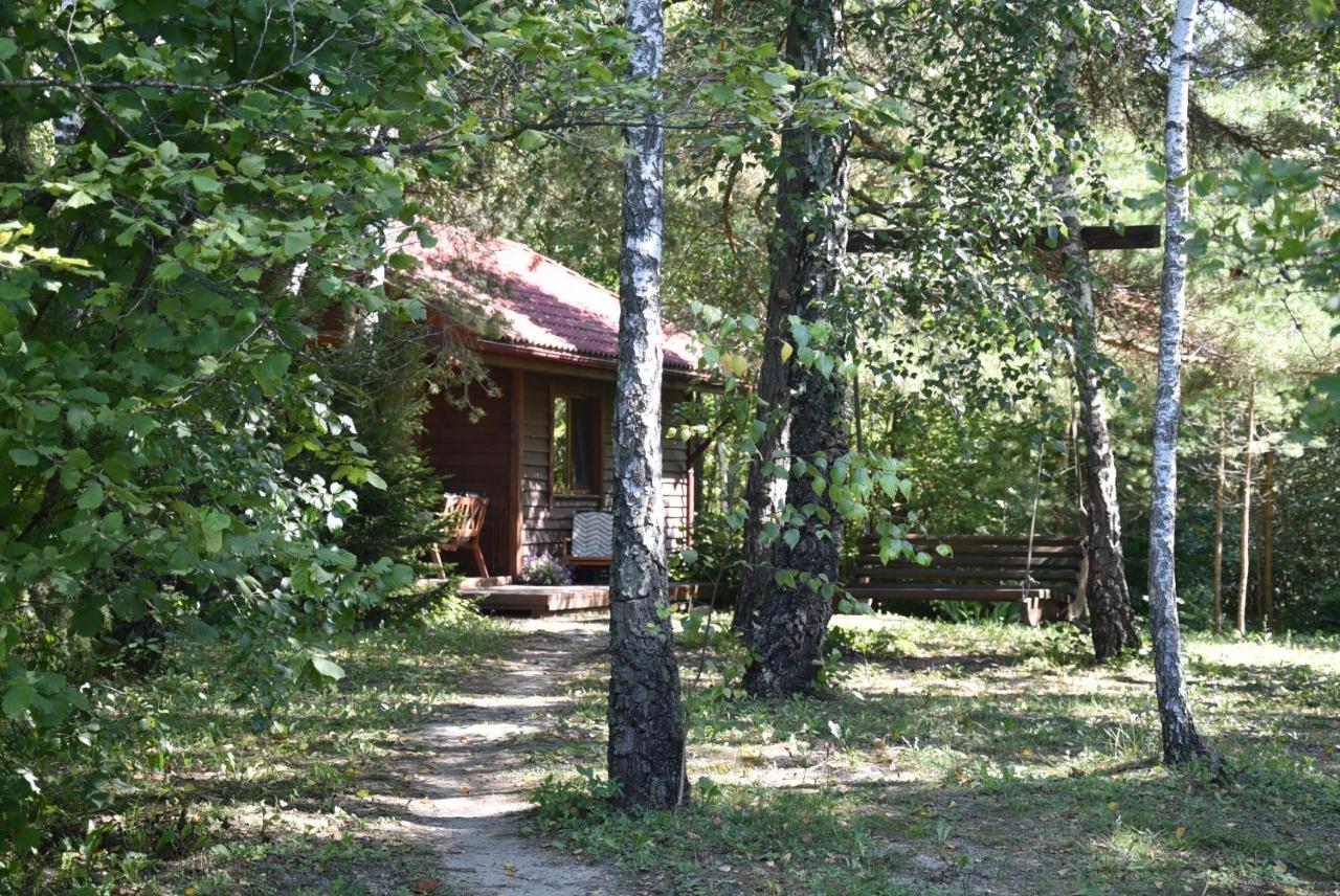 Berzu Namelis - Birch Cabin Kutsyuny 외부 사진