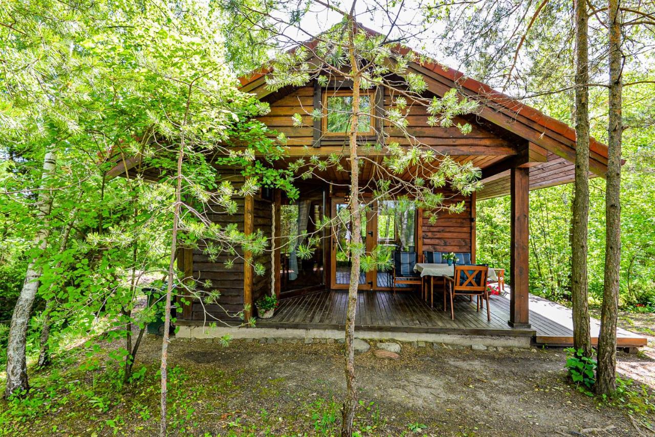 Berzu Namelis - Birch Cabin Kutsyuny 외부 사진