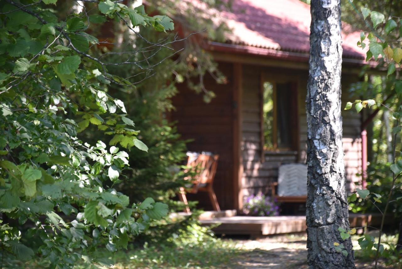 Berzu Namelis - Birch Cabin Kutsyuny 외부 사진