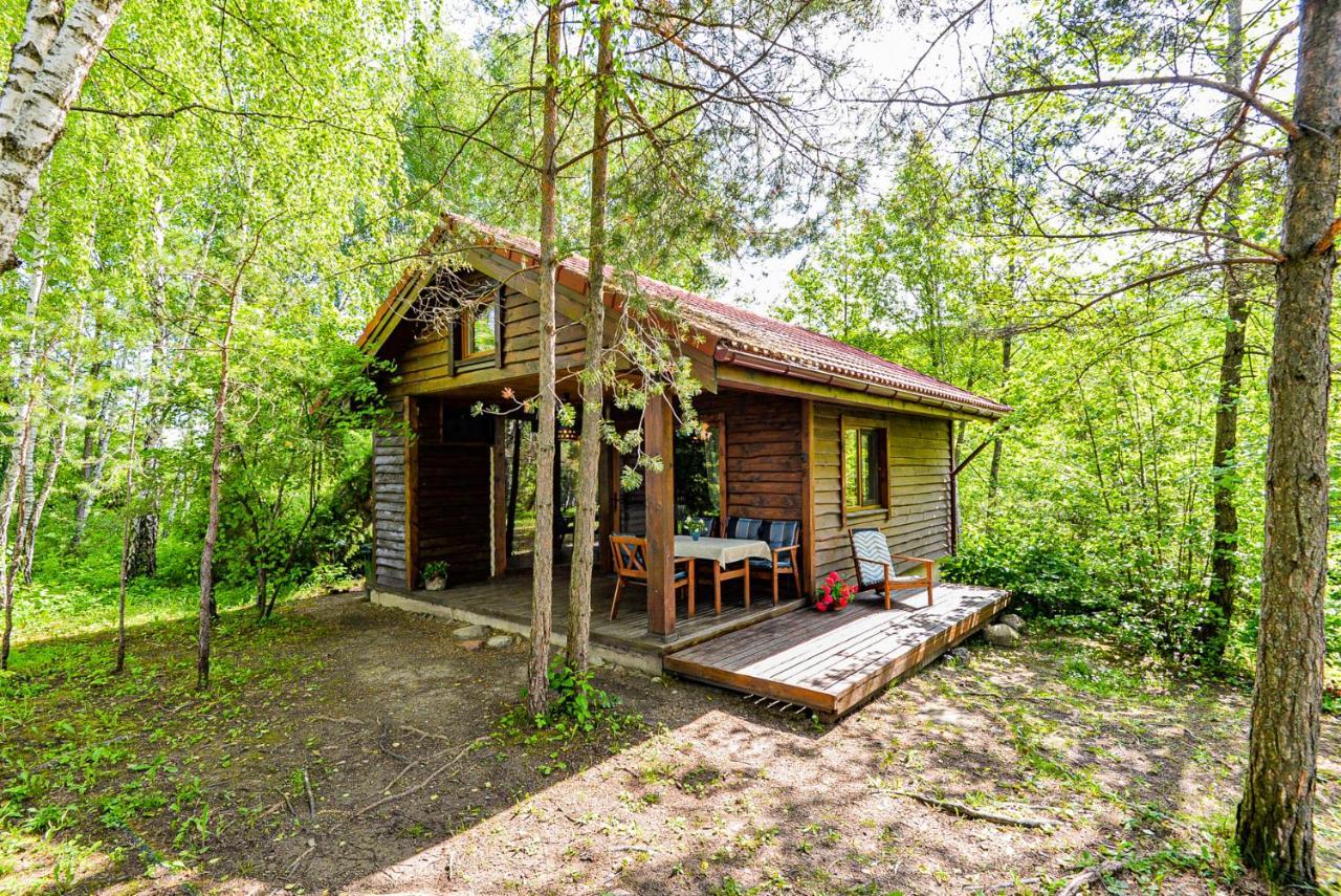 Berzu Namelis - Birch Cabin Kutsyuny 외부 사진