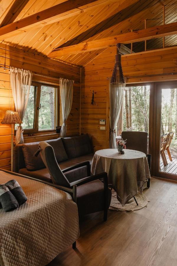 Berzu Namelis - Birch Cabin Kutsyuny 외부 사진