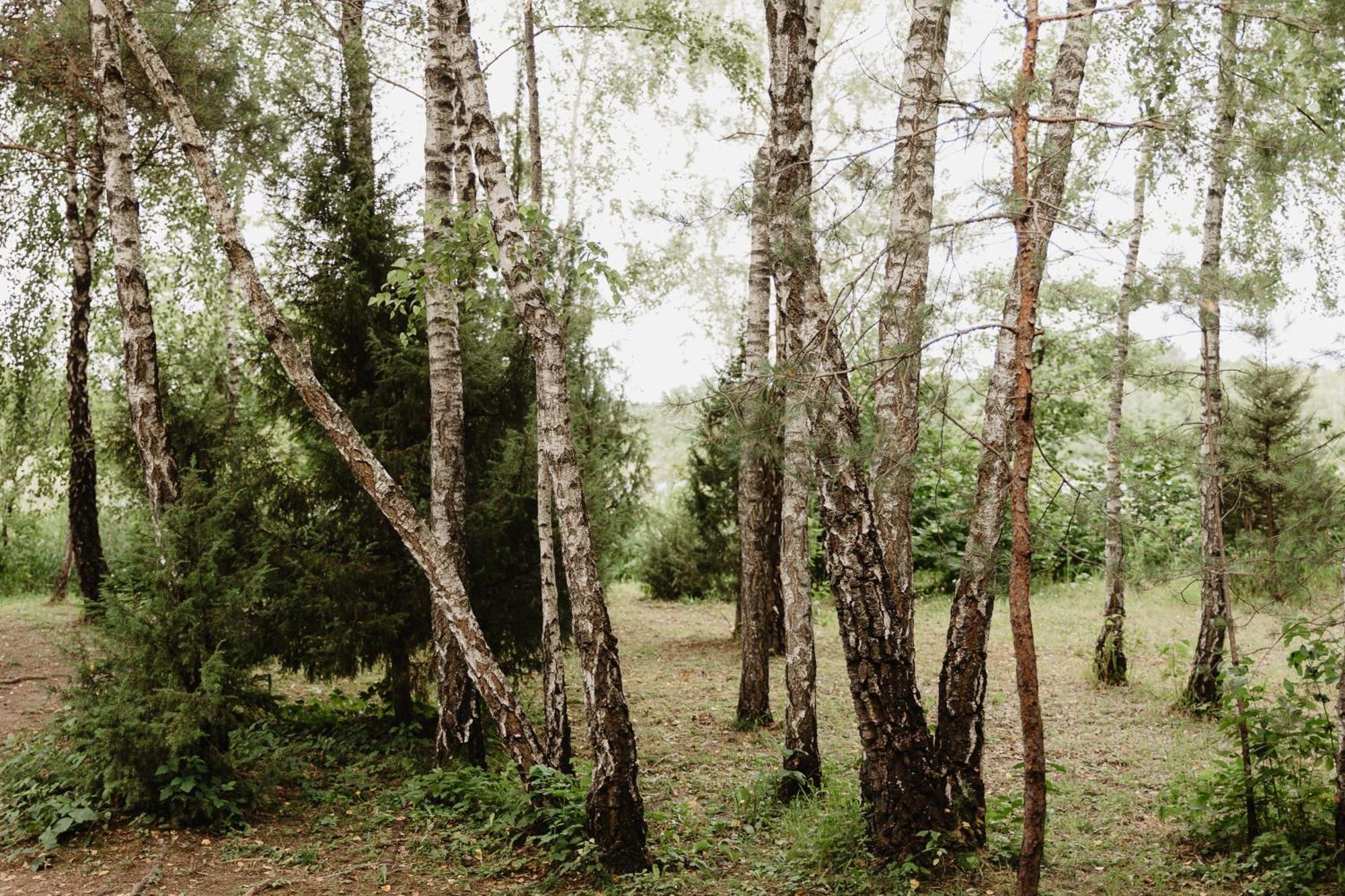 Berzu Namelis - Birch Cabin Kutsyuny 외부 사진