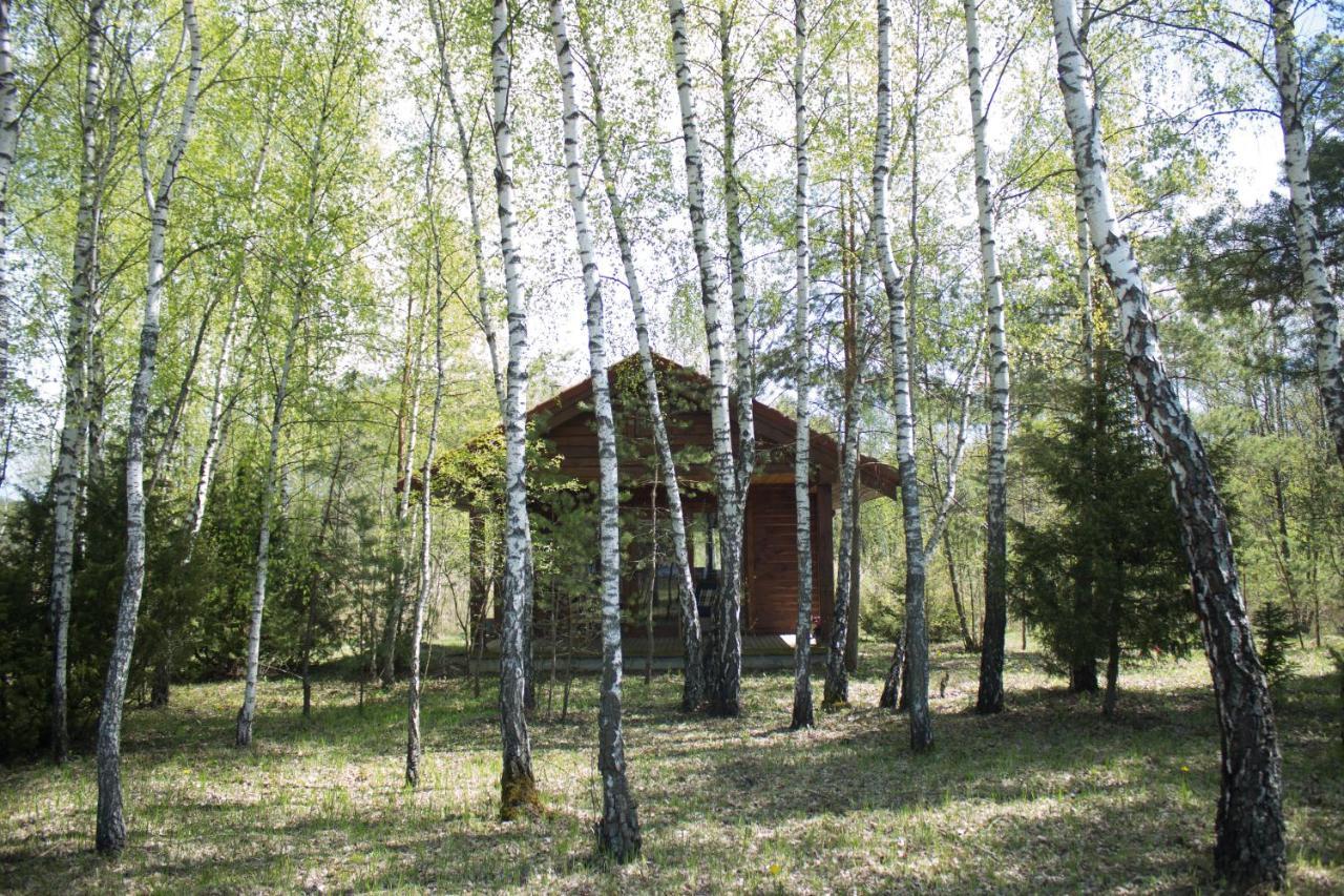 Berzu Namelis - Birch Cabin Kutsyuny 외부 사진